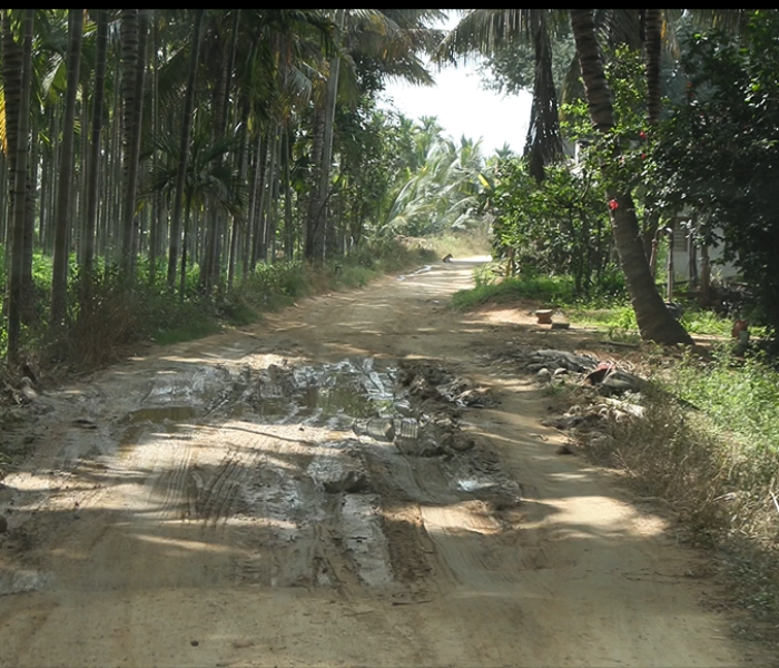 ಬಸರಿಹಳ್ಳಿ ಪಾಳ್ಯ ಗ್ರಾಮದ ರಸ್ತೆ