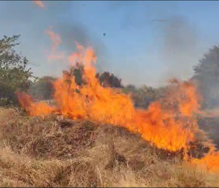 ಜಮೀನಿನಲ್ಲಿ ಬೆಂಕಿ ದುರಂತ ಸಂಭವಿಸಿರುವುದು.