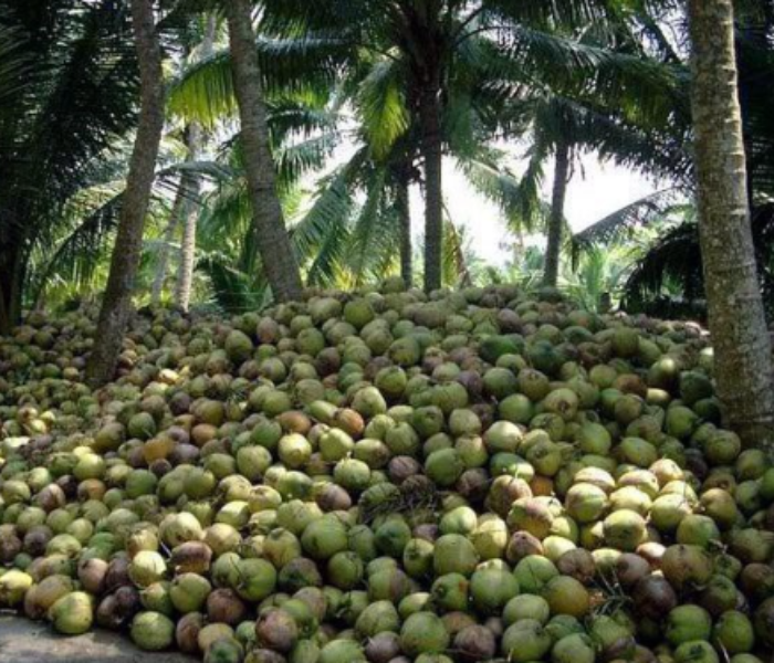 ಪ್ರಾತಿನಿಧಿಕ ಚಿತ್ರ