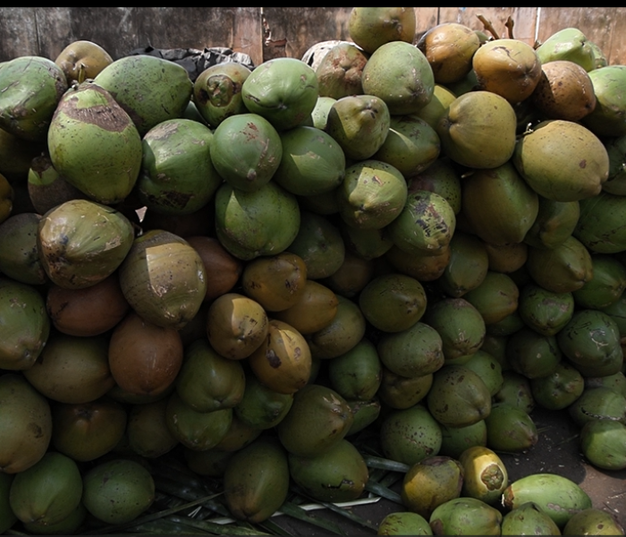 ಸಾಂದರ್ಭಿಕ ಚಿತ್ರ