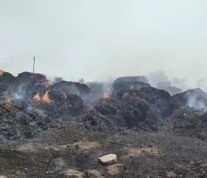 ಹುಲ್ಲಿನ ಬಣವೆಗಳು