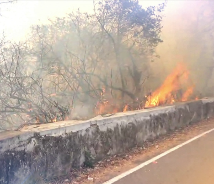 ಮೈಸೂರು ಚಾಮುಂಡಿ ಬೆಟ್ಟದಲ್ಲಿ ಬೆಂಕಿ ಅವಘಡ ಸಂಭವಿಸಿರುವುದು.