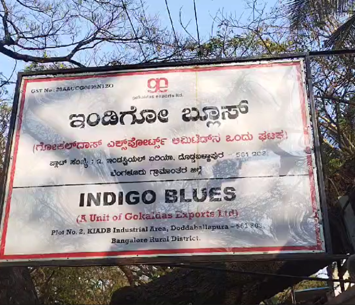 ಇಂಡಿಗೋ ಬ್ಲೂಸ್‌ ಘಟಕ