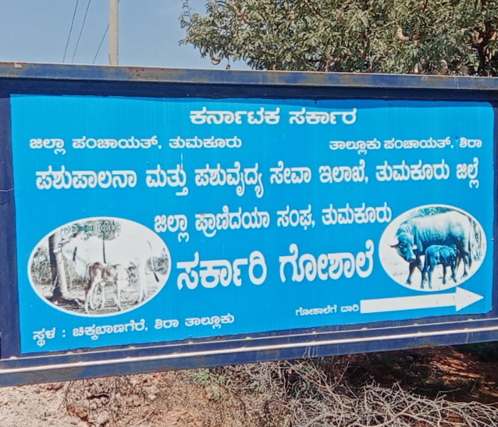 ಸರ್ಕಾರಿ ಗೋಶಾಲೆ ಚಿಕ್ಕಬಾಣಗೆರೆ