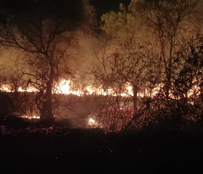 ಜಮೀನಿಗೆ ಬೆಂಕಿ ಹೊತ್ತಿ ಉರಿಯುತ್ತಿರುವುದು.