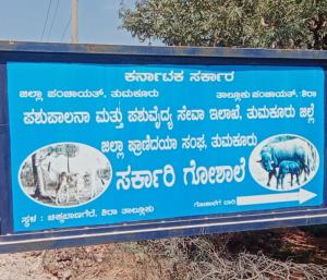 ಶಿರಾ : ಗೋಶಾಲೆಗಳಲ್ಲಿನ ಗೋವುಗಳ ಗೋಳು ಕೇಳುವವರು ಯಾರು..?