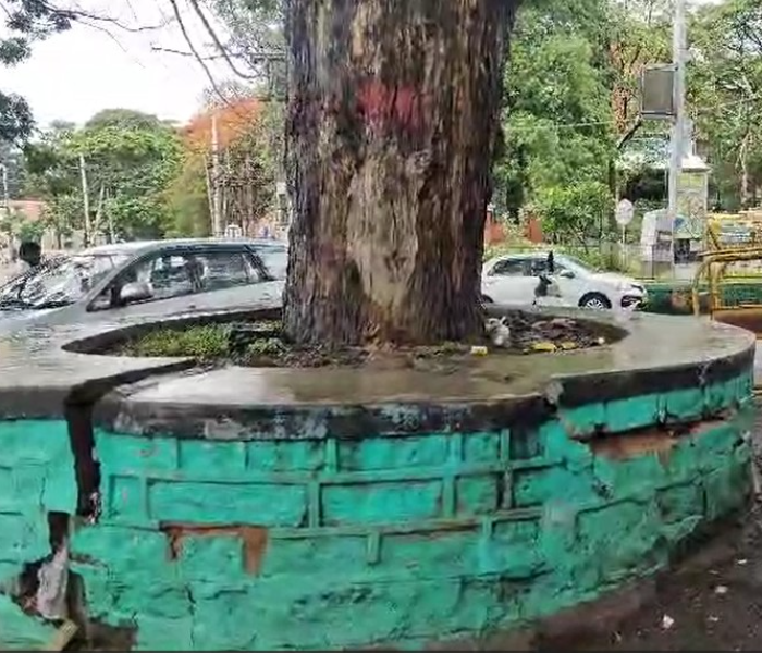 ತುಮಕೂರು : ಕುಡುಕರ ಅಡ್ಡೆಯಾಯ್ತಾ ತುಮಕೂರು? ಡಿಸಿ ಕಚೇರಿ ಎದುರೇ ಎಣ್ಣೆ ಪಾರ್ಟಿ!