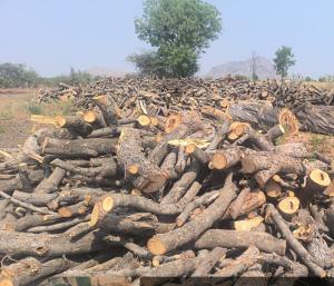 ಪಾವಗಡ : ಪಾವಗಡದಲ್ಲಿ ಎಗ್ಗಿಲ್ಲದೇ ನಡಿತೀದ್ಯಾ ಅಕ್ರಮ ಇದ್ದಿಲು ದಂಧೆ..?
