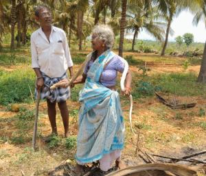ಚಿಕ್ಕನಾಯಕನಹಳ್ಳಿ : ನಾಗರಹಾವನ್ನು ಕೈಯಲ್ಲಿ ಹಿಡಿದು ಸಾಯಿಸಿದ ವೃದ್ದೆ..!