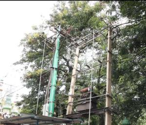 ತುಮಕೂರು : ಕೆಇಬಿ ಅಧಿಕಾರಿಗಳ ನಿರ್ಲಕ್ಷ್ಯ | ಸಾವಿನ ದಾರಿಯಾದ ಟೌನ್ ಹಾಲ್‌ ವೃತ್ತ