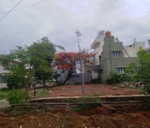 ಶಿರಾ : ಮತ್ತೆ ಶಿರಾ ನಗರಸಭೆ ಕೈ ಸೇರಿದ ಕೋಟಿ ಕೋಟಿ ಬೆಲೆಬಾಳುವ ಸ್ವತ್ತು..!