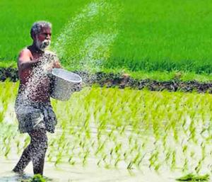 ತುಮಕೂರು : ರಾಷ್ಟ್ರೀಯ ತೋಟಗಾರಿಕೆ ಮಿಷನ್ ಯೋಜನೆ | ರೈತರಿಗೆ ನೆರವು