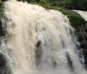 ಕೊಡಗು : ಸುರಿದ ಭಾರೀ ಮಳೆಯಿಂದ ಅಬ್ಬಿ ಫಾಲ್ಸ್ಗೆ ಜೀವಕಳೆ