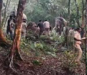 Udupi : ಉಡುಪಿ ಜಿಲ್ಲೆಯಲ್ಲಿ ಆತಂಕ ಸೃಷ್ಟಿಸಿದ್ದ ಒಂಟಿ ಕಾಡಾನೆ ಸೆರೆ