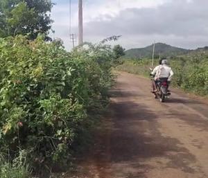 CHIKKANAYAKANAHALLI : ಅಪಘಾತದ ತಾಣವಾದ ರಸ್ತೆ | ಜೀವಭಯದಲ್ಲಿ ಗ್ರಾಮಸ್ಥರು