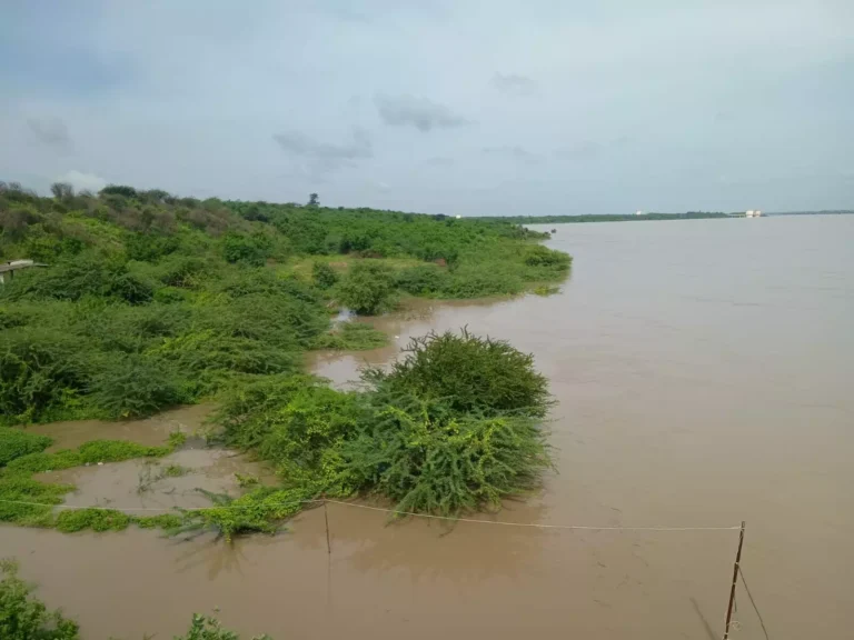 1368794-f04bc23a-ac1b-4a2f-b666-8134eadbf2ae