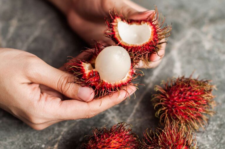 Rambutan-9958933015784af18b3f2b2016aa395e