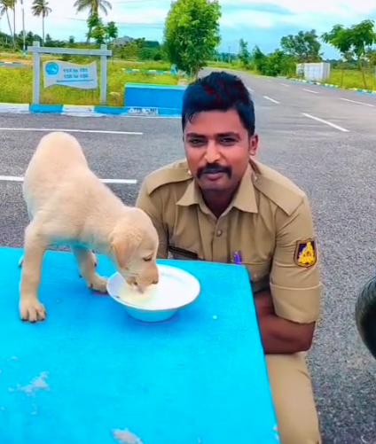 Screenshot 2025-09-21 181756