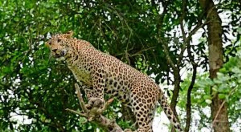 WhatsApp Image 2025-03-05 at 08.39.43_37040d95