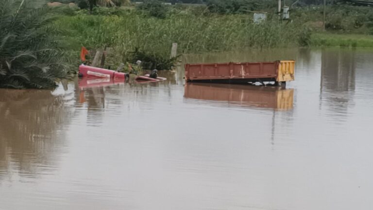 WhatsApp Image 2025-09-19 at 21.33.31_0f22b1ac