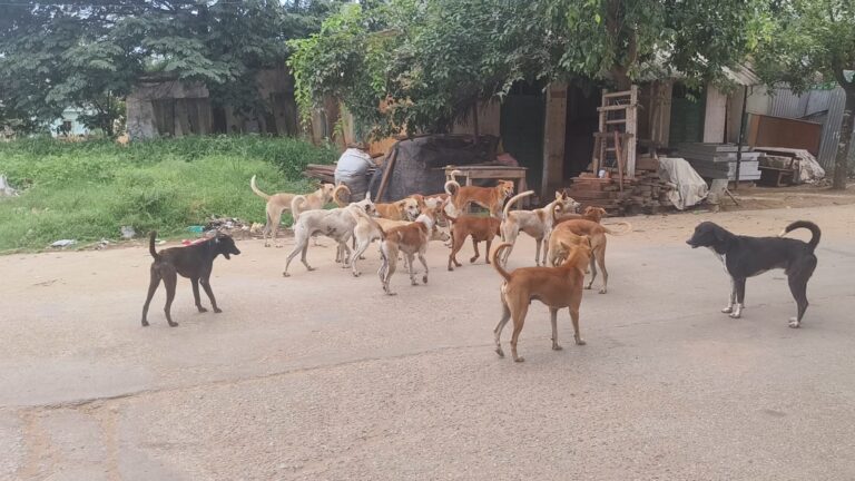 WhatsApp Image 2025-09-20 at 18.41.21_8e9a0427