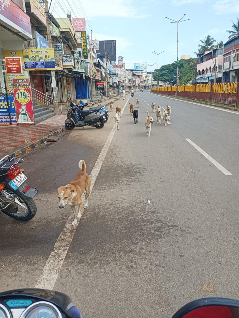 WhatsApp Image 2025-09-22 at 13.20.11_471462f3