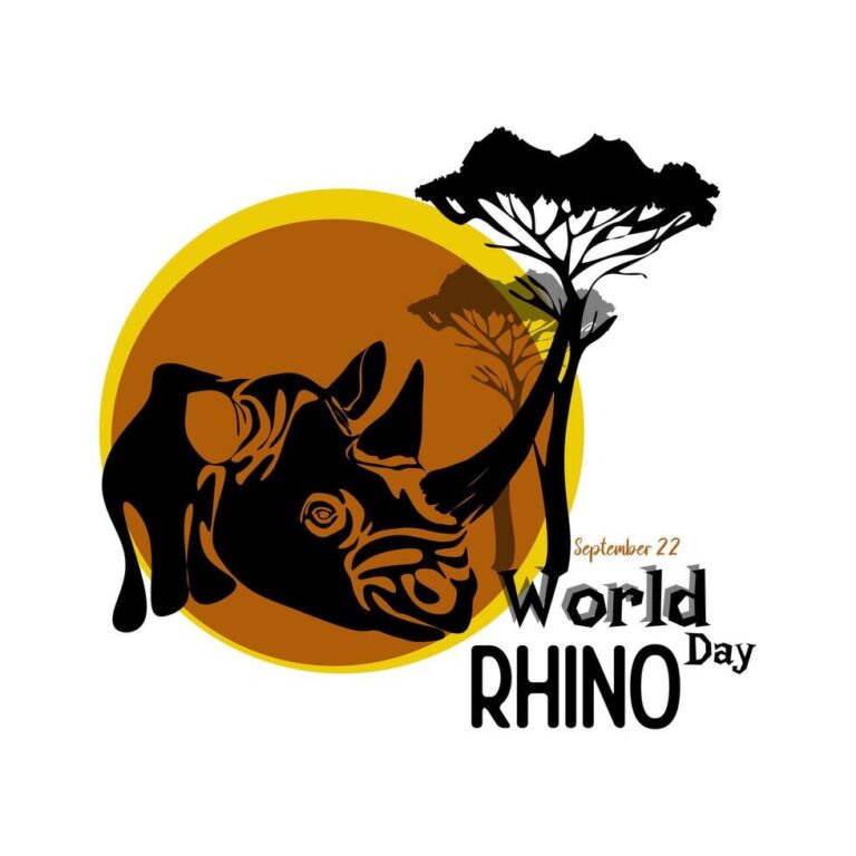 rhinos-animal-
