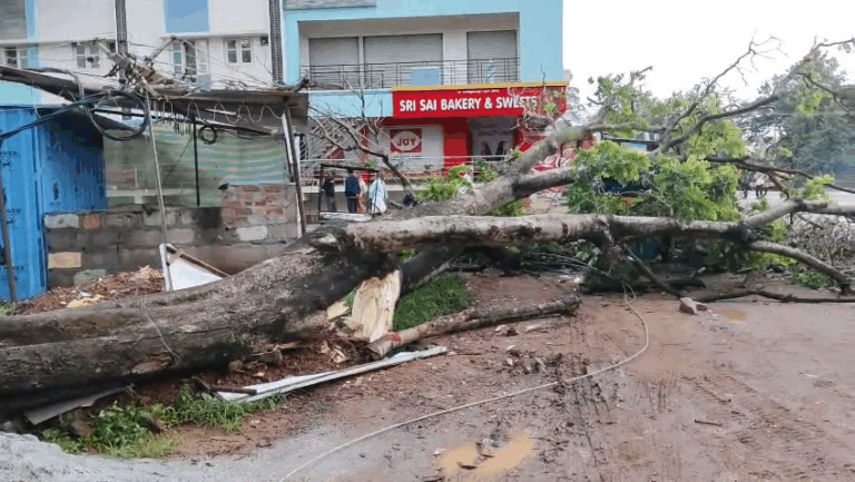 vlcsnap-2025-09-20-15h46m24s514