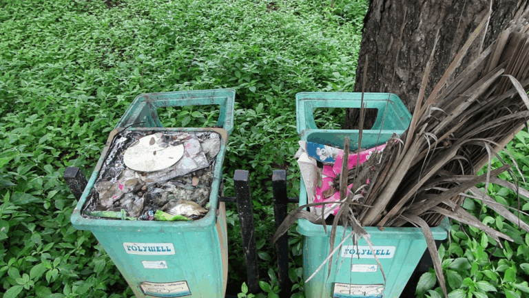 vlcsnap-2025-09-20-16h20m39s464