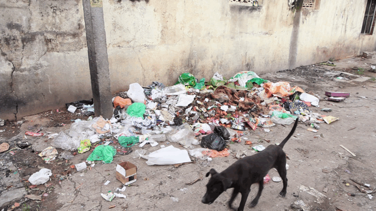 vlcsnap-2025-09-23-17h06m18s694