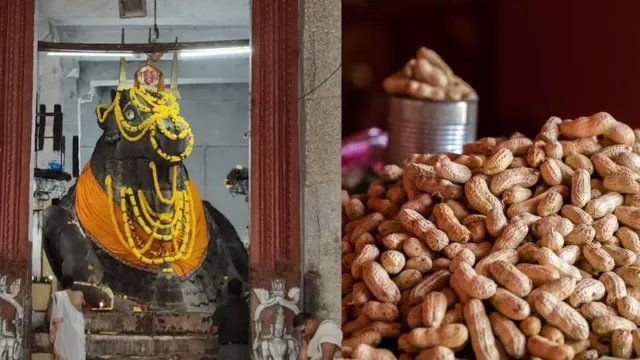 Kadalekayi-Parishe-1