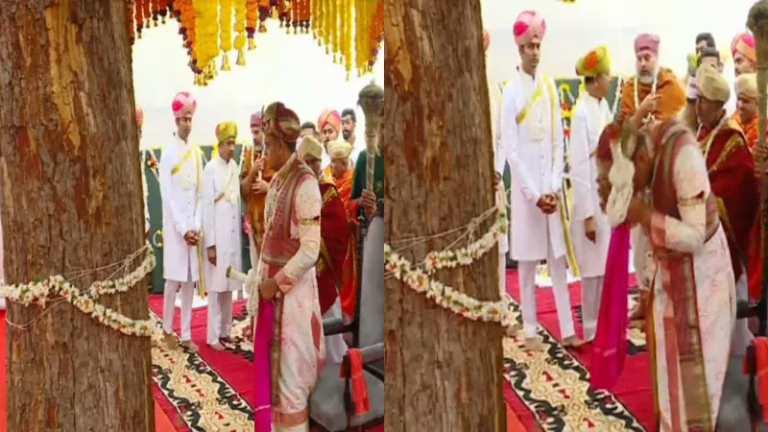 Mysuru-Dasara-2025-Yaduveer-Wadiyar-Performs-Pooja-To-Banni-Tree-