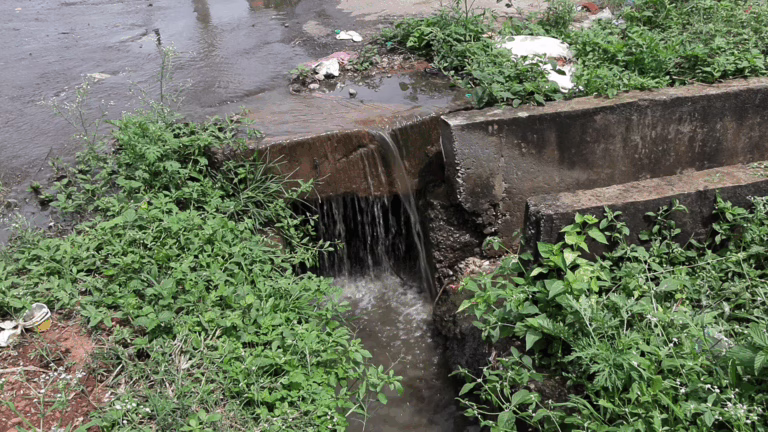 vlcsnap-2025-10-20-16h55m30s732