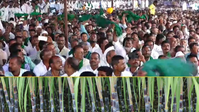 sugarcane_farmers_protest_bagalkote-2025-11-08-07-35-19