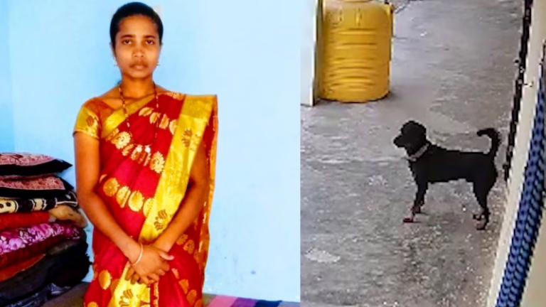 Rottweiler-Attack-Death