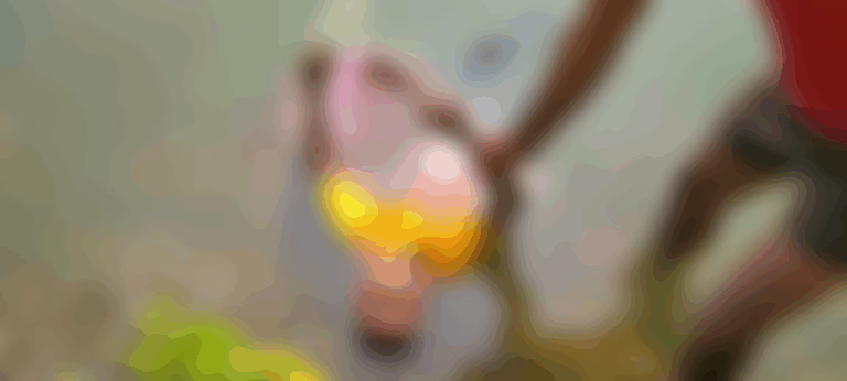 WhatsApp Image 2025-12-29 at 1.53.10 PM-modified