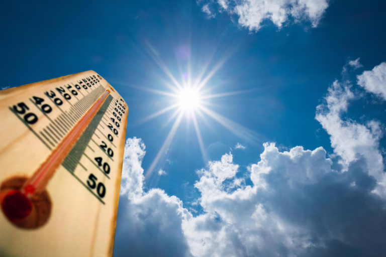 prajavani_import_sites_pv_files_article_images_2023_03_15_summer1678833755