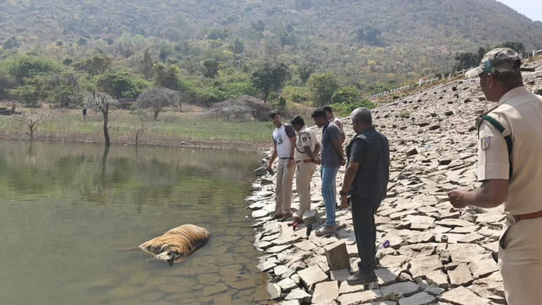 1200-675-26047593-thumbnail-16x9-newttddsa