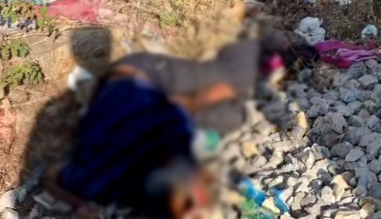 Screenshot 2026-02-12 125436