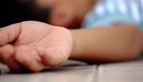 Screenshot 2026-02-15 123148