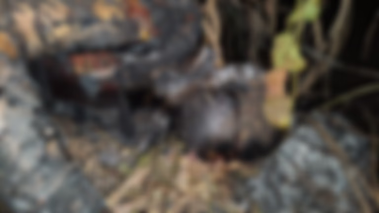 WhatsApp Image 2026-02-20 at 9.43.47 AM (1)-modified