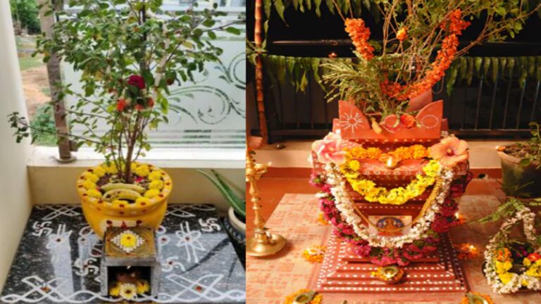 457832-tulsi-pooja