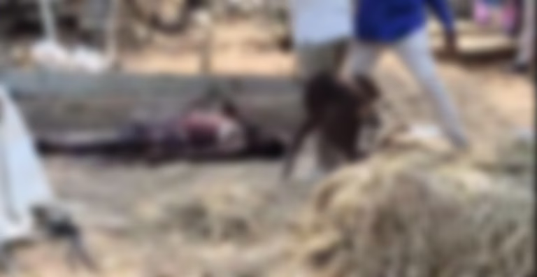 Screenshot 2026-04-14 160616-modified