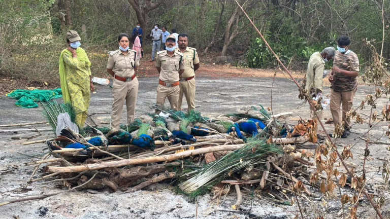 WhatsApp Image 2026-04-23 at 10.45.38 AM