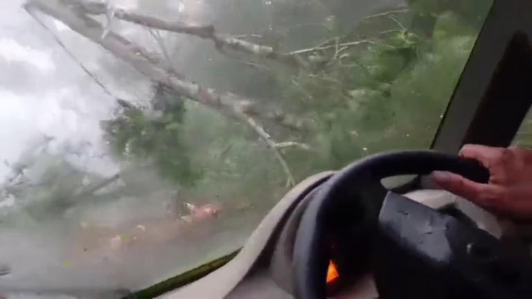 a-huge-tree-fell-in-front-of-a-moving-car-in-aldur-chikkamagaluru