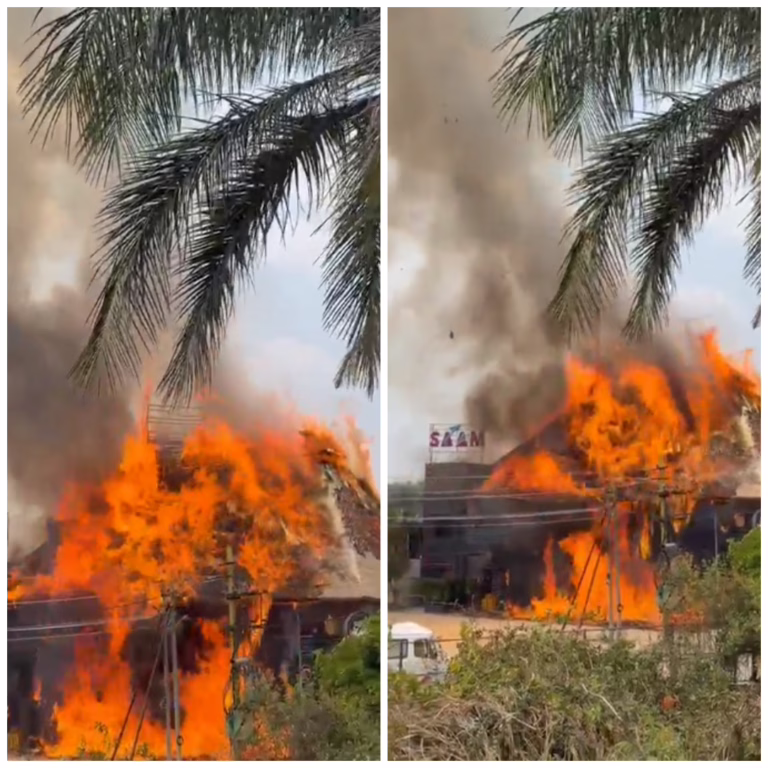 photo-collage.png (4)