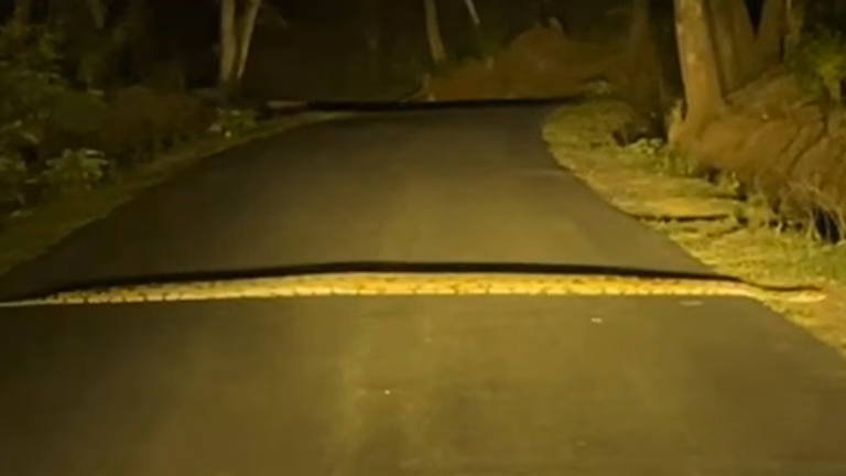 Python-2