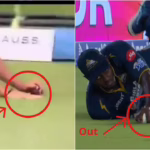 cricket