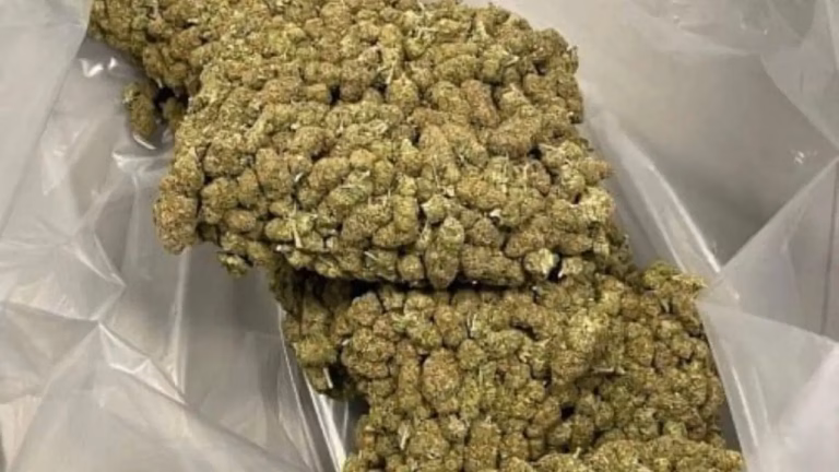 ganja-seized-in-airport