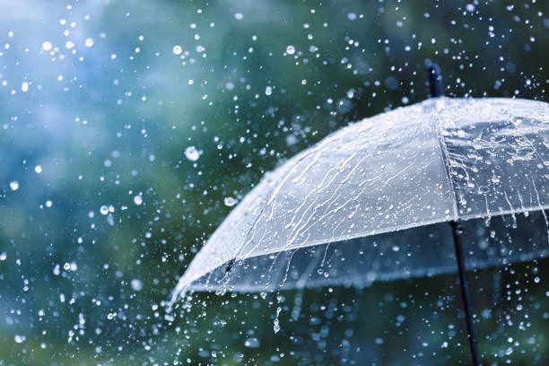 istockphoto-1257951336-612x612-1